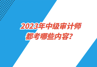 2023年中級(jí)審計(jì)師都考哪些內(nèi)容？