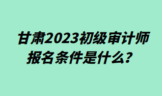 甘肅2023初級審計師報名條件是什么？