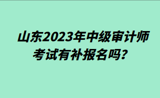 山東2023年中級審計師考試有補報名嗎？