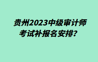 貴州2023中級審計師考試補報名安排？