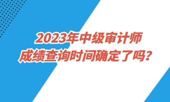 2023年中級(jí)審計(jì)師成績(jī)查詢時(shí)間確定了嗎？