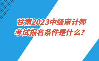 甘肅2023中級審計師考試報名條件是什么？