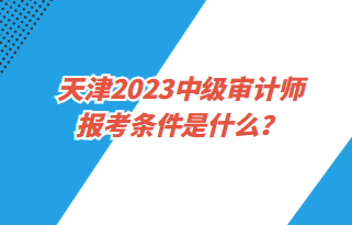 天津2023中級(jí)審計(jì)師報(bào)考條件是什么？