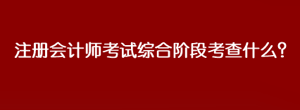 注冊會計師考試綜合階段考查什么？