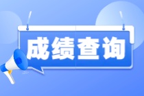 國(guó)際注冊(cè)內(nèi)部審計(jì)師成績(jī)?cè)谀牟樵?xún)？