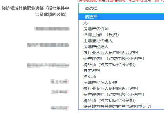經(jīng)濟領(lǐng)域其他職業(yè)資格選擇