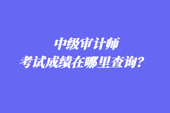 中級(jí)審計(jì)師考試成績(jī)?cè)谀睦锊樵儯?