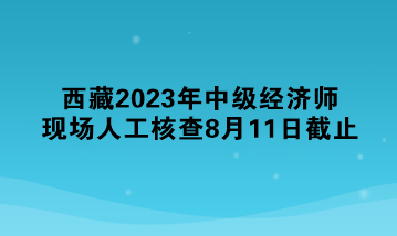 西藏2023年中級經(jīng)濟(jì)師現(xiàn)場人工核查8月11日截止 抓緊！