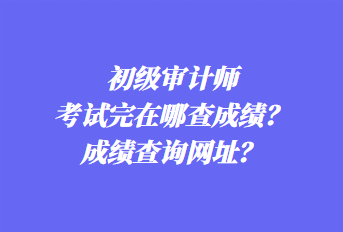 初級審計(jì)師考試完在哪查成績？成績查詢網(wǎng)址？