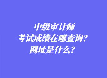 中級(jí)審計(jì)師考試成績(jī)?cè)谀牟樵儯烤W(wǎng)址是什么？