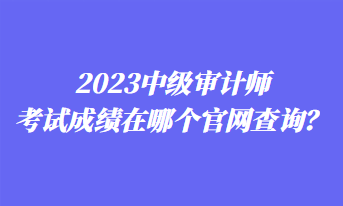 2023中級(jí)審計(jì)師考試成績(jī)?cè)谀膫€(gè)官網(wǎng)查詢(xún)？