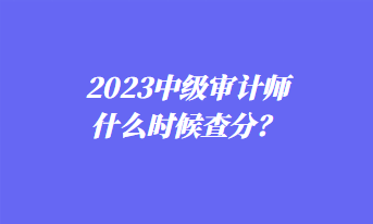 2023中級審計師什么時候查分？