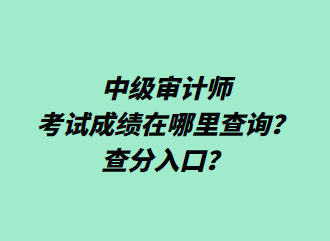 中級(jí)審計(jì)師考試成績(jī)?cè)谀睦锊樵?xún)？查分入口？