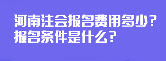 河南注會報名費用多少？報名條件是什么？