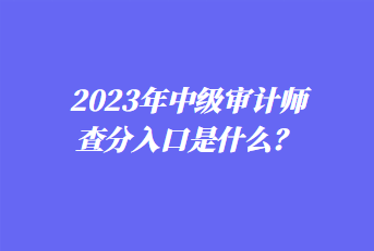 2023年中級審計(jì)師查分入口是什么？