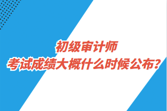 初級(jí)審計(jì)師考試成績(jī)大概什么時(shí)候公布？