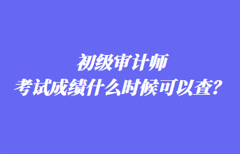 初級審計師考試成績什么時候可以查？