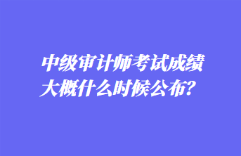 中級審計師考試成績大概什么時候公布？