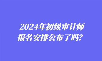 2024年初級(jí)審計(jì)師報(bào)名安排公布了嗎？