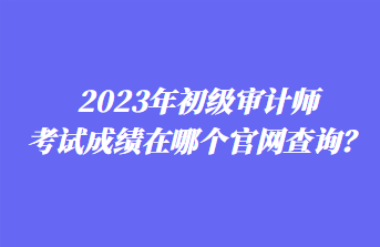 2023年初級(jí)審計(jì)師考試成績?cè)谀膫€(gè)官網(wǎng)查詢？