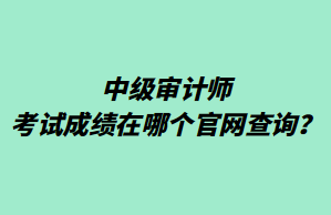 中級(jí)審計(jì)師考試成績(jī)?cè)谀膫€(gè)官網(wǎng)查詢？