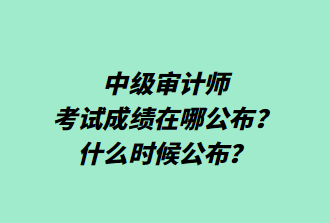 中級(jí)審計(jì)師考試成績(jī)?cè)谀墓?？什么時(shí)候公布？