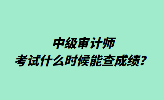 中級審計師考試什么時候能查成績？