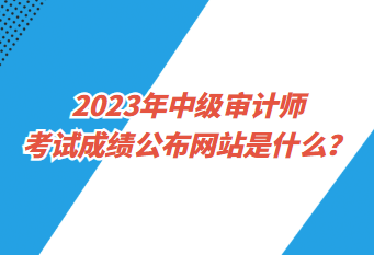 2023年中級(jí)審計(jì)師考試成績(jī)公布網(wǎng)站是什么？