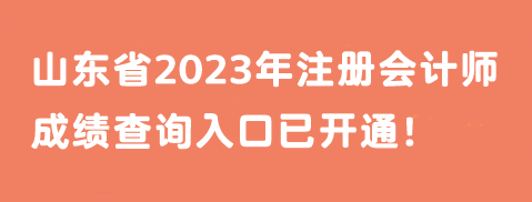 山東省2023年注冊(cè)會(huì)計(jì)師成績(jī)查詢?nèi)肟谝验_(kāi)通！馬上查分>>