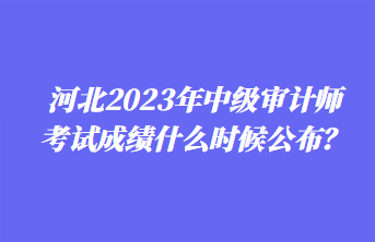 河北2023年中級審計師考試成績什么時候公布？