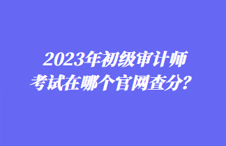 2023年初級審計(jì)師考試在哪個(gè)官網(wǎng)查分？