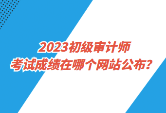 2023初級(jí)審計(jì)師考試成績(jī)?cè)谀膫€(gè)網(wǎng)站公布？