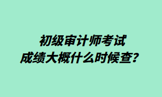 初級(jí)審計(jì)師考試成績(jī)大概什么時(shí)候查？