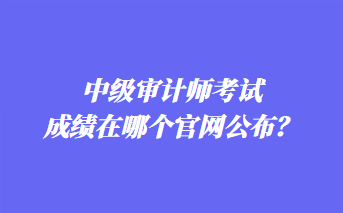 中級(jí)審計(jì)師考試成績(jī)?cè)谀膫€(gè)官網(wǎng)公布？