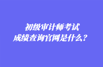 初級(jí)審計(jì)師考試成績查詢官網(wǎng)是什么？