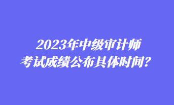 2023年中級(jí)審計(jì)師考試成績公布具體時(shí)間？