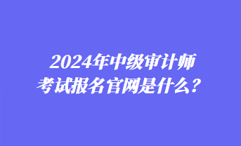 2024年中級(jí)審計(jì)師考試報(bào)名官網(wǎng)是什么？