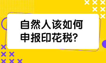 自然人該如何申報印花稅