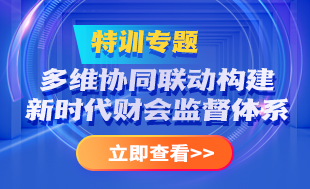 多維協(xié)同構建新時代財會監(jiān)督體系