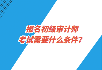 報名初級審計師考試需要什么條件？