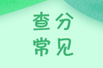 稅務(wù)師成績(jī)查詢(xún)常見(jiàn)問(wèn)題