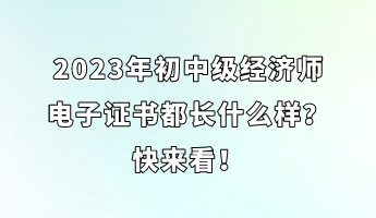 2023年初中級經(jīng)濟(jì)師電子證書都長什么樣？快來看！