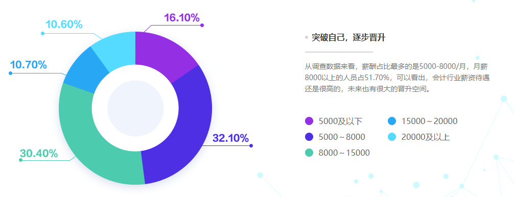 會計(jì)人薪酬情況