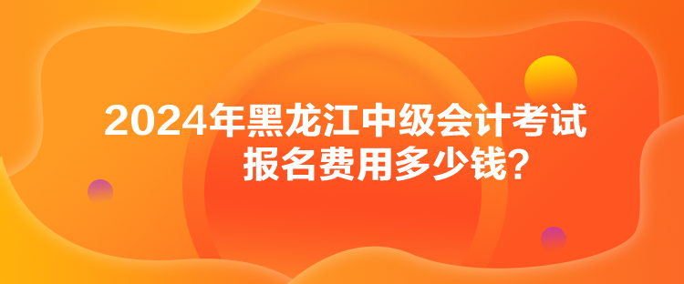 2024年黑龍江中級(jí)會(huì)計(jì)考試報(bào)名費(fèi)用多少錢？