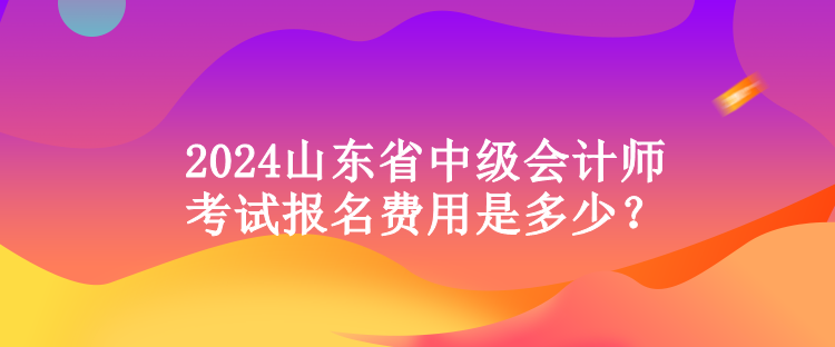 2024山東省中級會計師考試報名費用是多少？