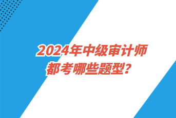 2024年中級(jí)審計(jì)師都考哪些題型？