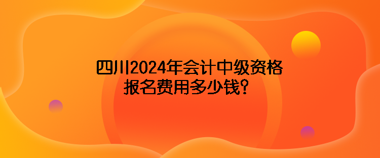 四川2024年會計中級資格報名費用多少錢？