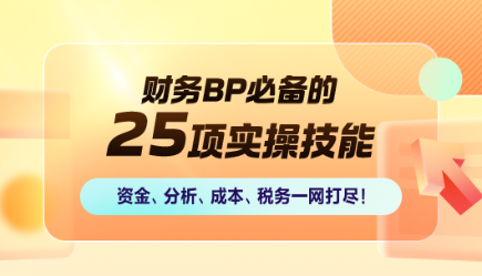 財務(wù)BP必備的25項實操技能