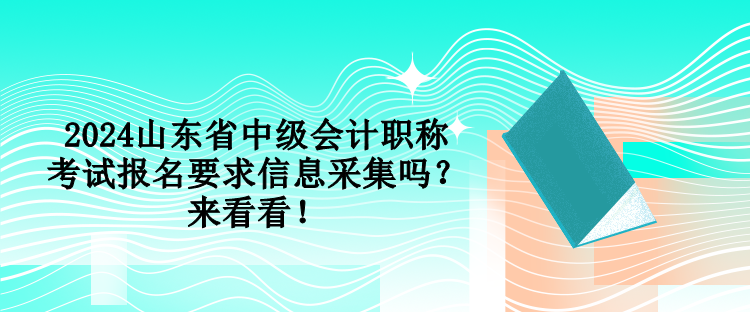 2024山東省中級會計(jì)職稱考試報(bào)名要求信息采集嗎？來看看！