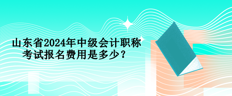 山東省2024年中級會計職稱考試報名費用是多少？